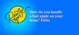 Here's how you'd handle a bad apple on your team