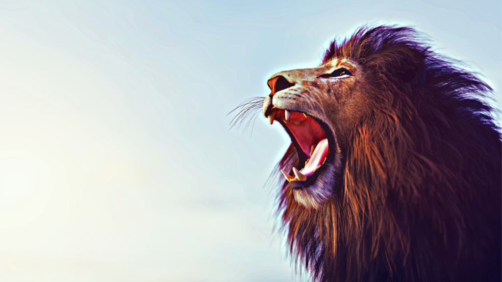 Brad Inman's 100 tougher, smarter must-dos for 2024