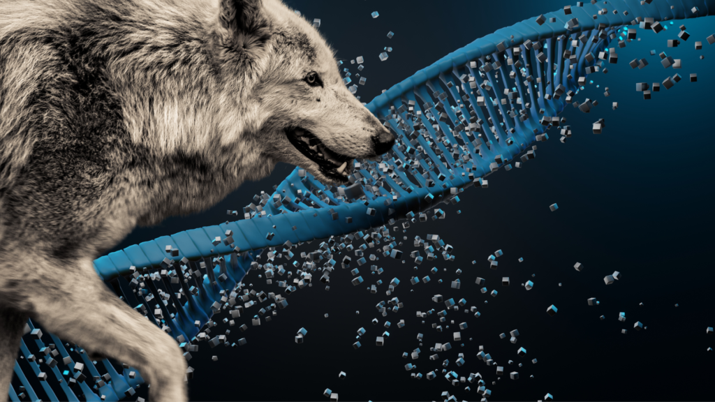 In 2024, Lone Wolf customers to experience next-generation products