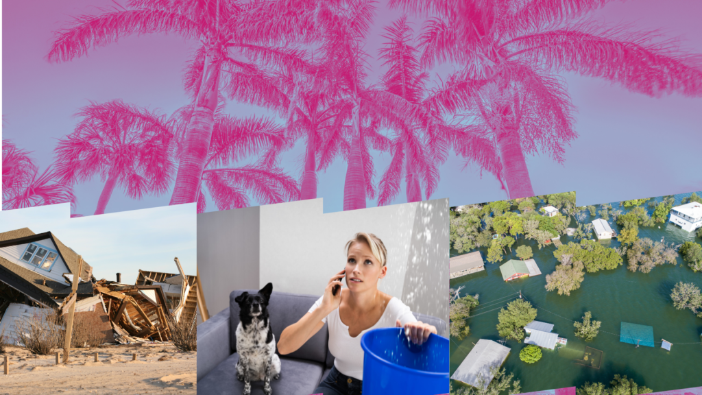 RESAAS steps up in midst of Florida insurance crisis