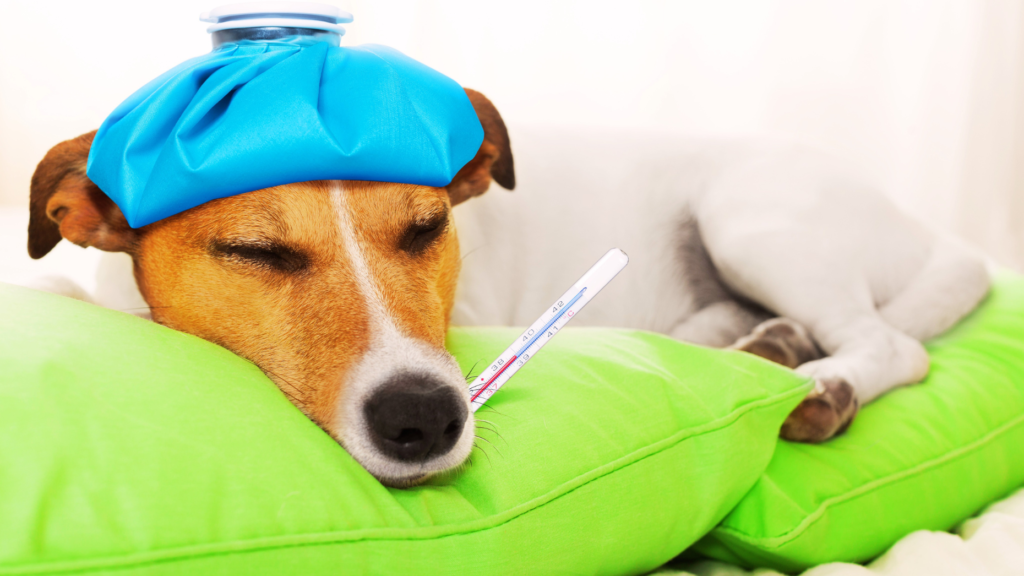 Sick and tired of low production? 5 tips to raise your numbers in 2024