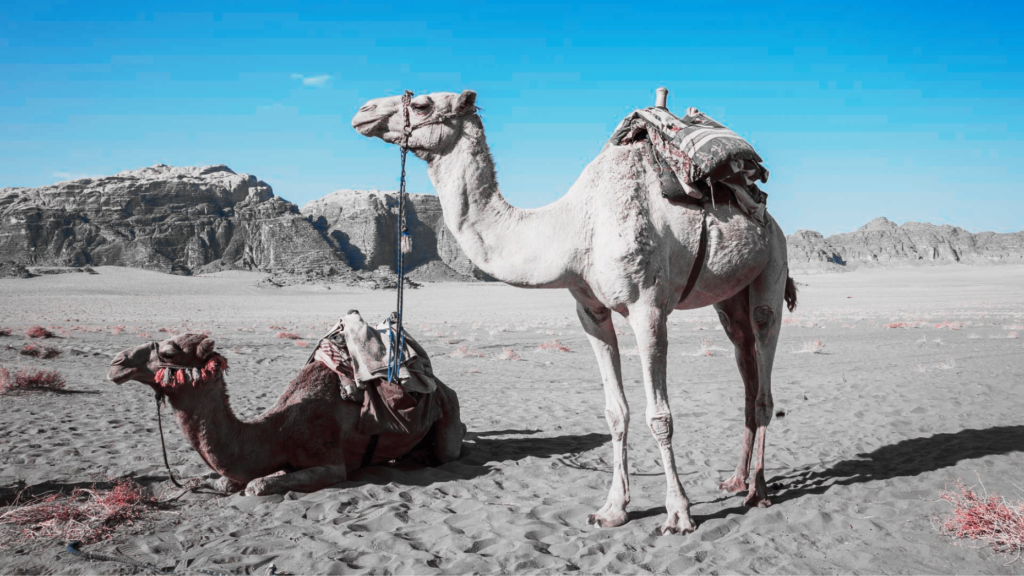 Last straw? 12 things to consider before ditching your brokerage