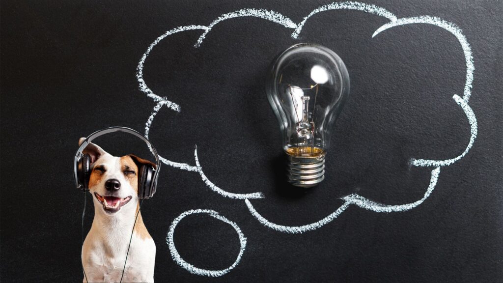 Shortcuts to success: Listen and learn from these 5 people