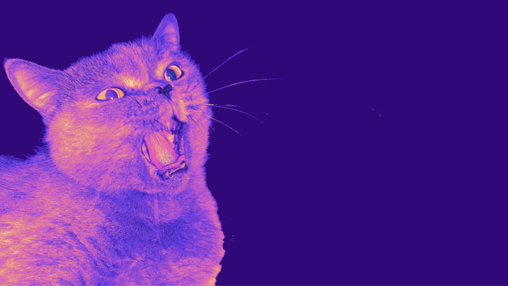 Meow! The copycats are on the prowl: The Download