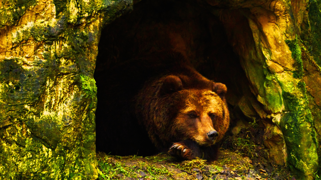 DelPrete: The real estate disruptors are still in hibernation