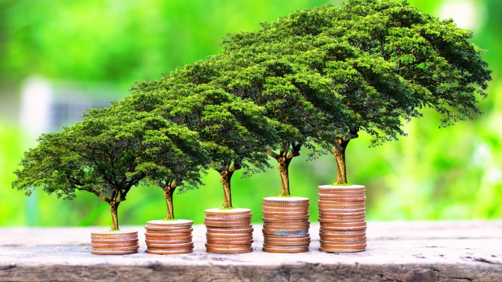 Try these 7 budget-friendly lead sources with no upfront fee