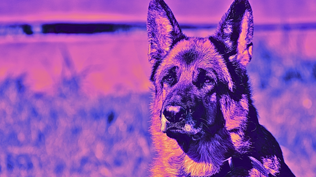 How far would you go to protect your buyer clients? The Download