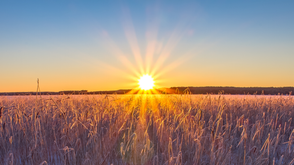 DelPrete: A new generation of brokerages is on the rise