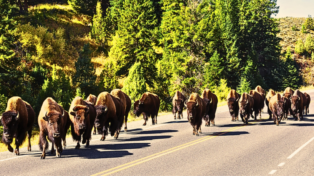 DelPrete: Here's what's driving agent migration patterns now