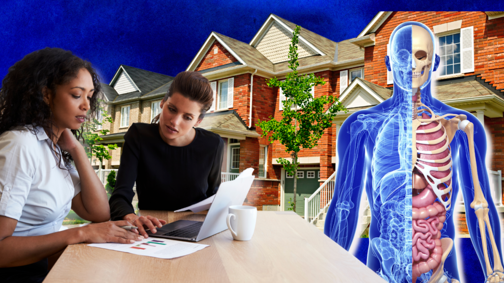 Anatomy of a client consultation: A head-to-toe approach