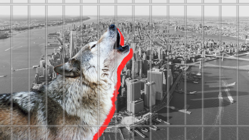 Next booking for 'Wolf of Airbnb&rsquo; grifter Konrad Bicher? Prison&nbsp;