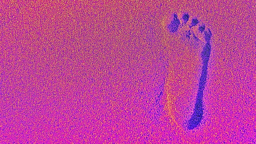 Can Kevin Sears put NAR back on a firm footing? The Download