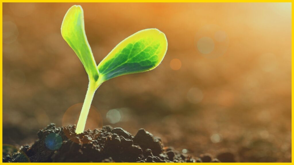 Today marks the dawn of a new day for real estate. Make the most of it